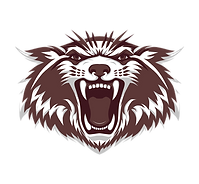 Plano High School Football