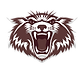 Plano High School Football