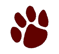 Plano High School Football